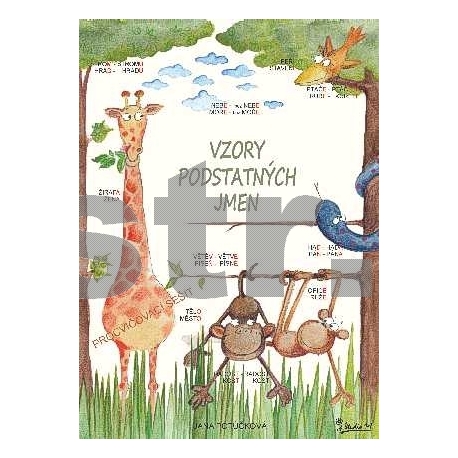 Vzory podstatných jmen - p.s.z ČJ