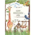 Vzory podstatných jmen - p.s.z ČJ