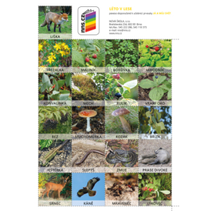 Pexeso Léto v lese (Já můj svět 2)